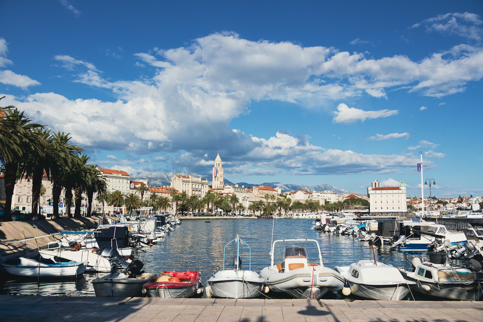 Boats docked in a harbor with a city skyline.